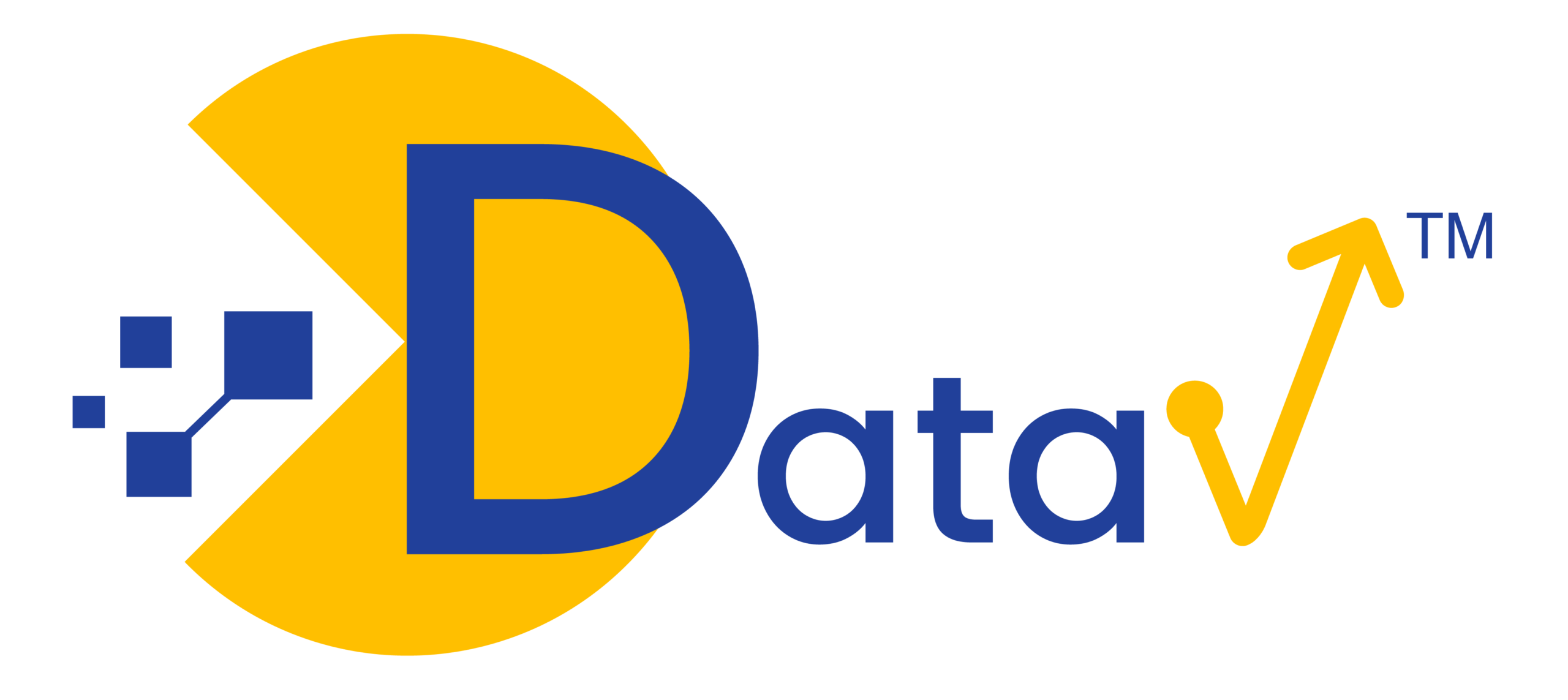 DataV logo